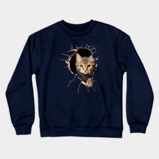 What a cat!? (just an expression) Crewneck Sweatshirt